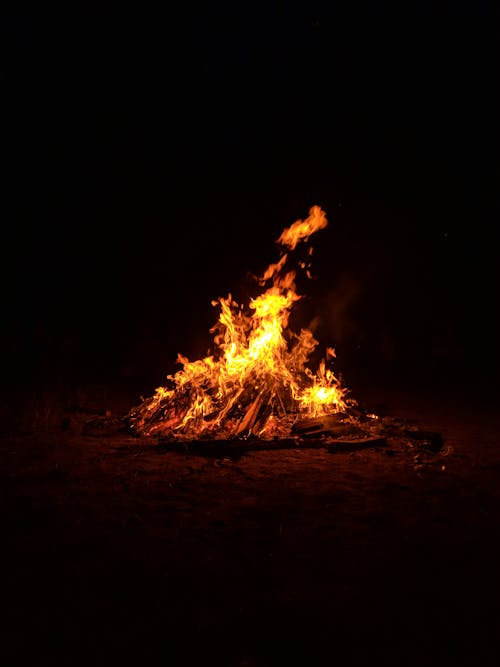 Free stock photo of blaze, bonfire, burn