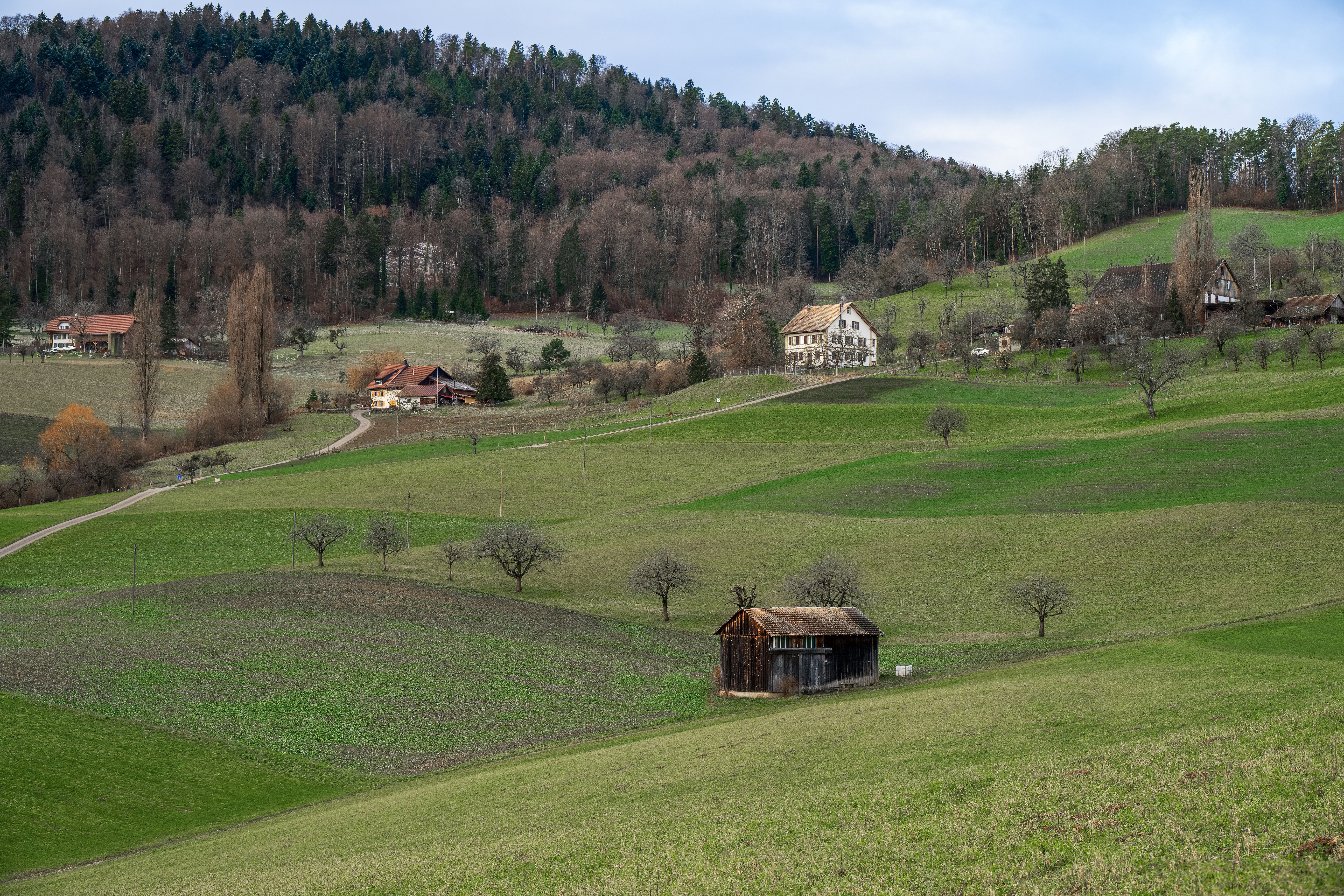 Sítio rural