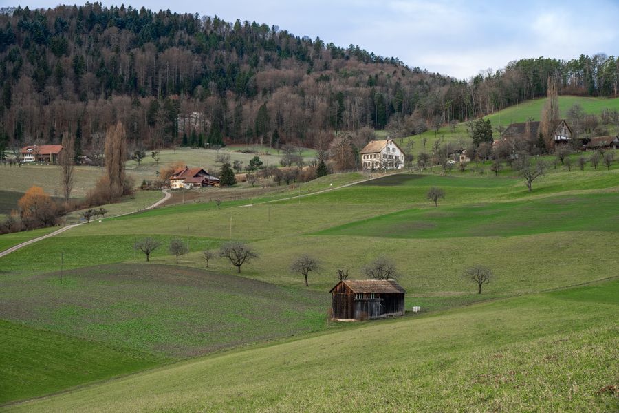 Paisaje rural con casas de campo y colinas verdes