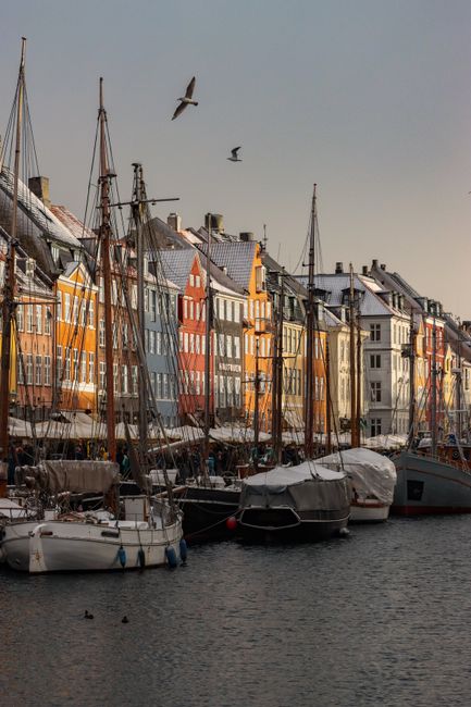 Elegant winter view of colorful buildings in Nyhavn, Copenhagen, with sailboats and calm water.