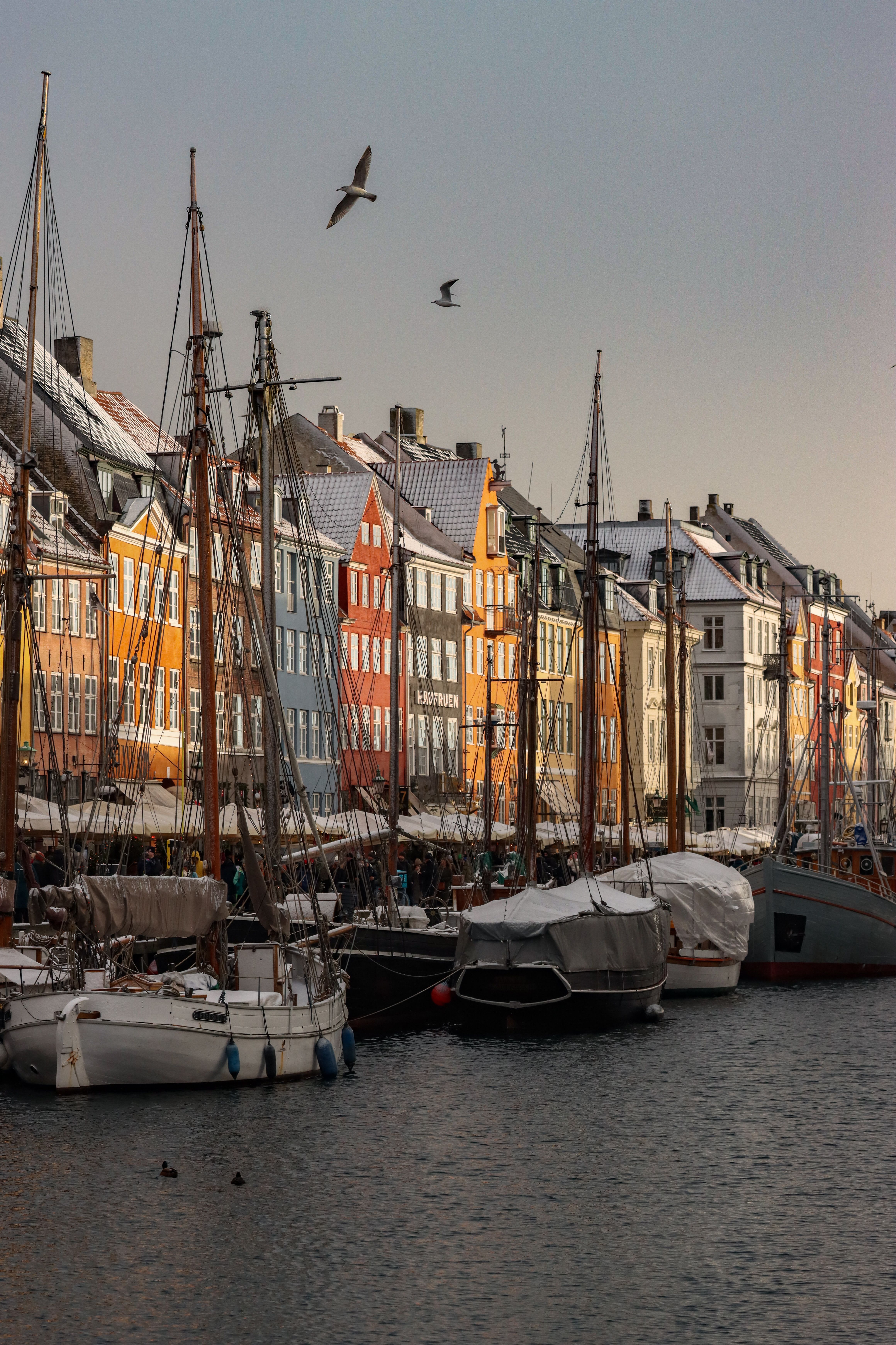 Scenic View of Nyhavn Harbor in Winter Light · Free Stock Photo