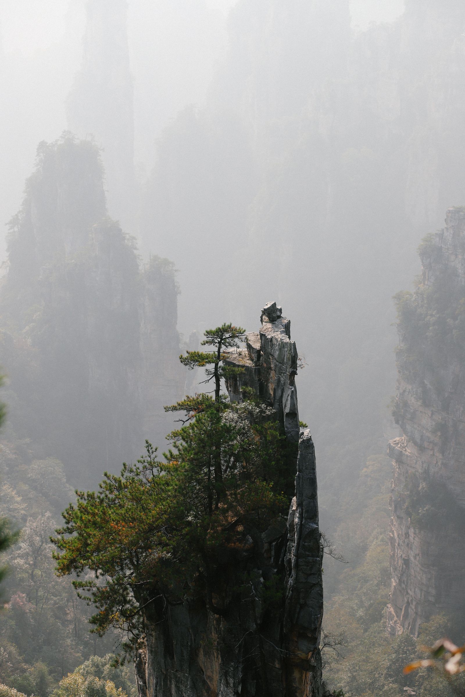 Zhangjiajie National Forest Park Avatar mountains misty cable car