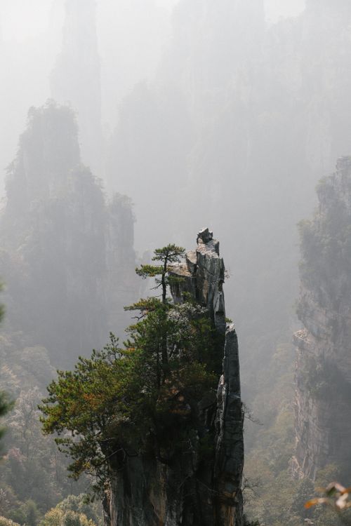 Free Captivating misty view of the unique sandstone pillars in Zhangjiajie, Hunan, China. Stock Photo