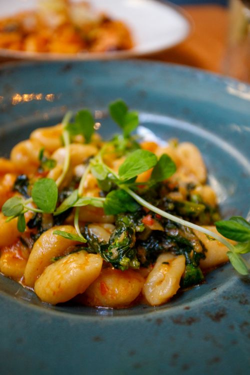 Free A mouthwatering photo of gnocchi garnished with fresh herbs on a blue plate, perfect for food lovers. Stock Photo