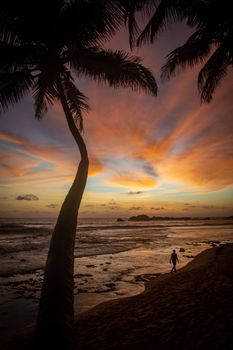 Silhouetted palm trees frame a vibrant sunset on a tropical beach with a lone walker by the shore.