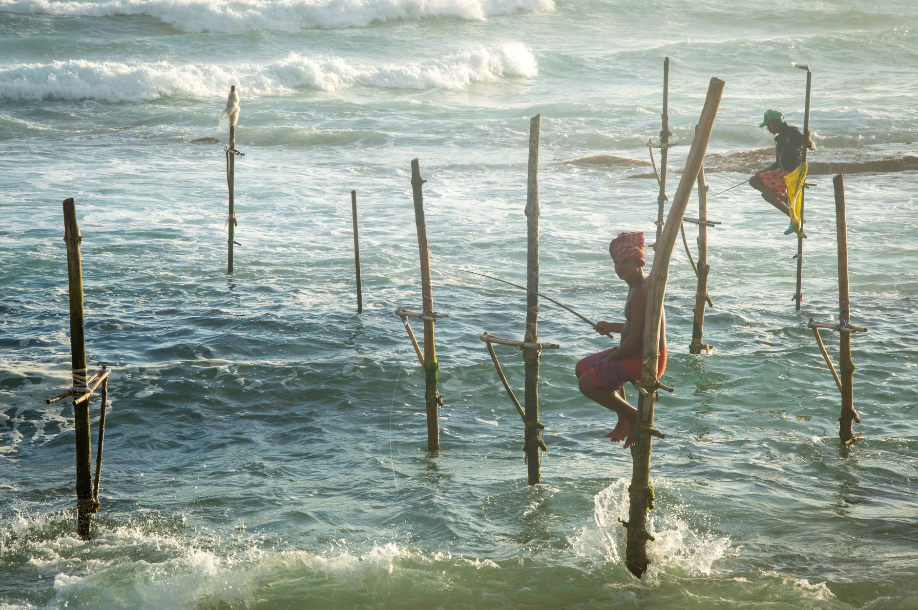 galle stilt fishermen koggala lake sri lanka traditional ocean sunrise