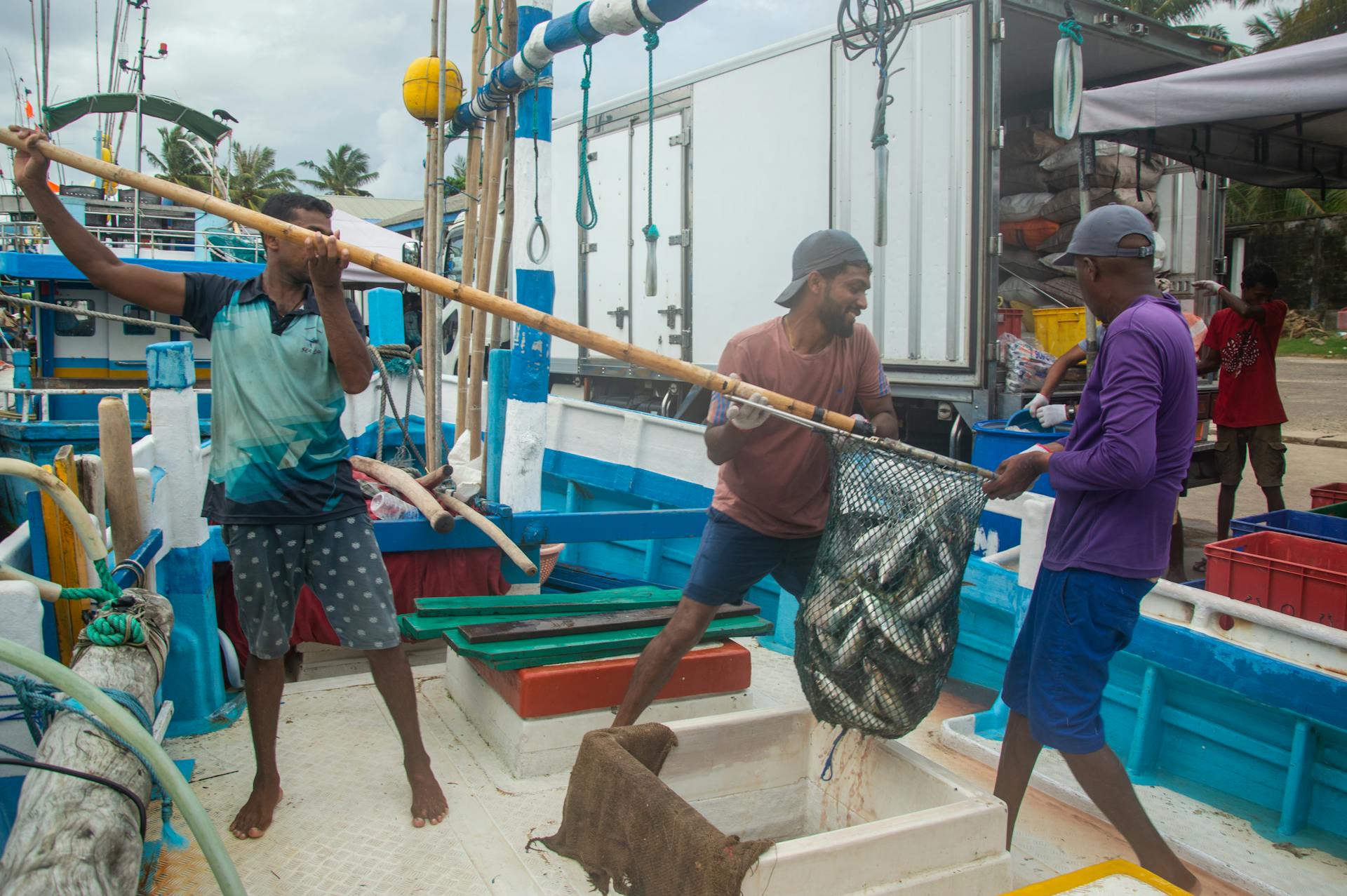Men unloading a fresh catch from the boat at the dock, showcasing teamwork and marine livelihood.