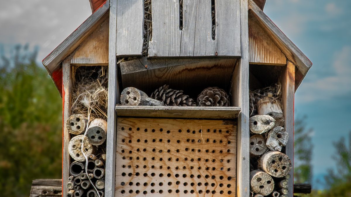 Bricolage jardin : construire un hôtel à insectes pour favoriser la biodiversité - illustration