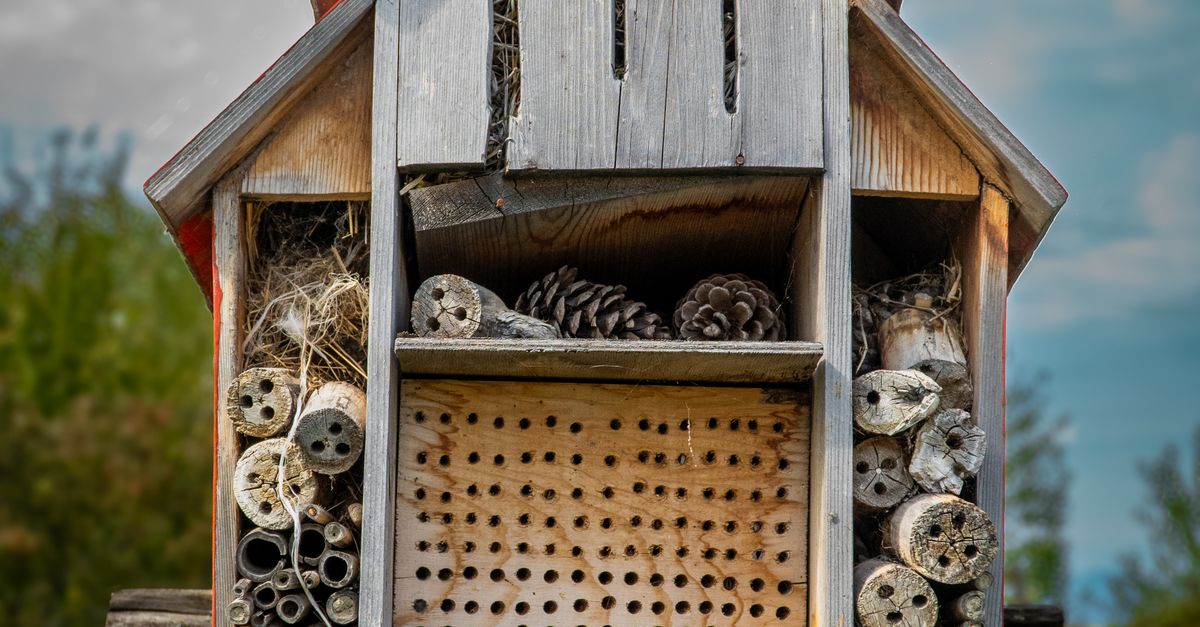 Backyard Insect Farm Rustic Insect Hotel on a Lush Green Farm · Free Stock Photo
