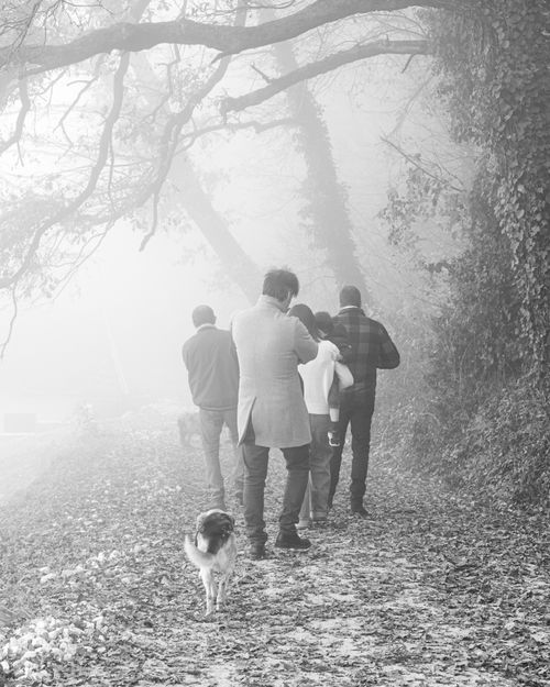 Free A family with a dog walking on a foggy forest trail, surrounded by mist and trees. Stock Photo