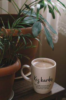 Warm indoor setting featuring a coffee mug and lush green plant.