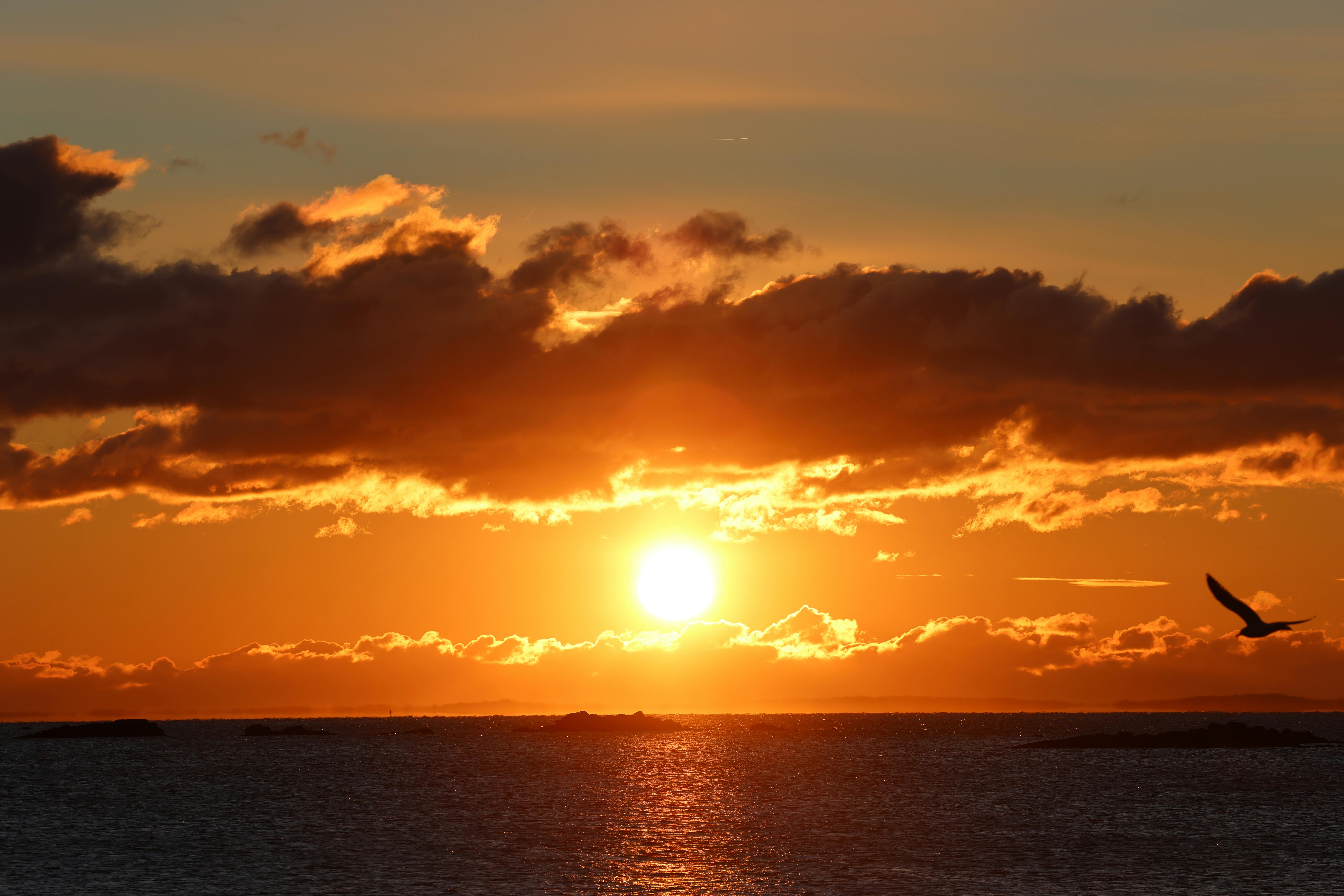 Using AI Fortune Telling for Your 2027 Predictions