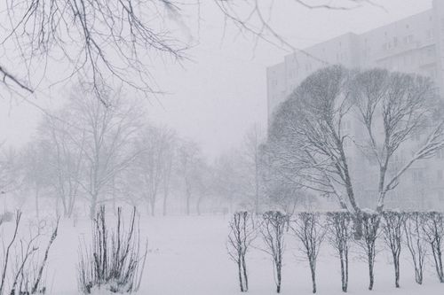 Free A serene urban park under heavy snowfall with trees and a building in the background. Stock Photo