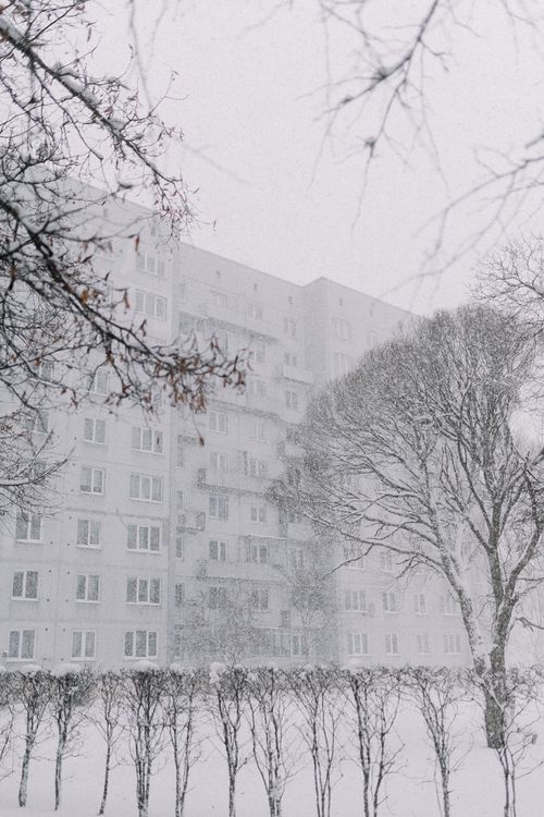 Free A snow-covered apartment building surrounded by bare trees during winter. Stock Photo