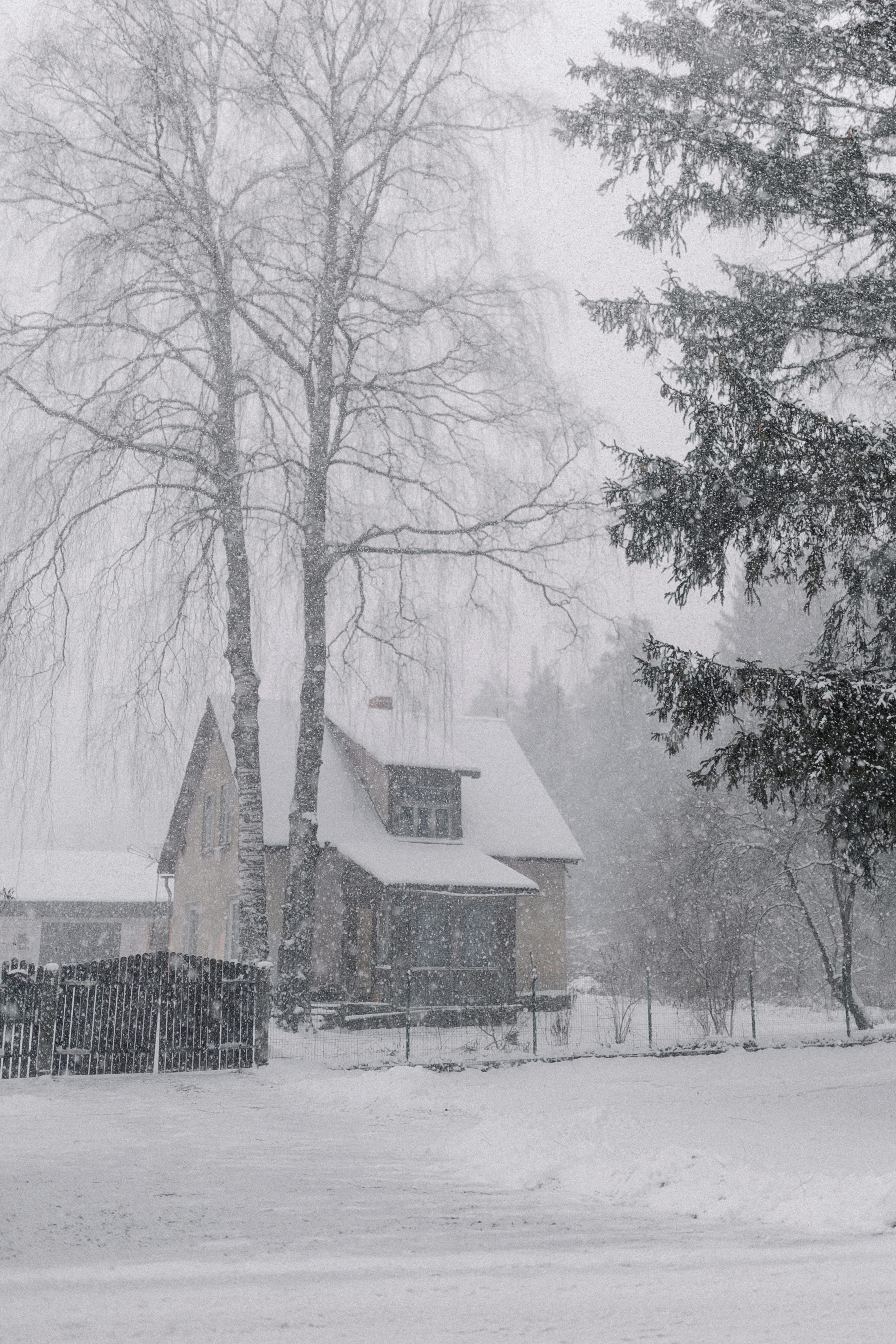 A secluded house in a serene snowy winter landscape with trees.