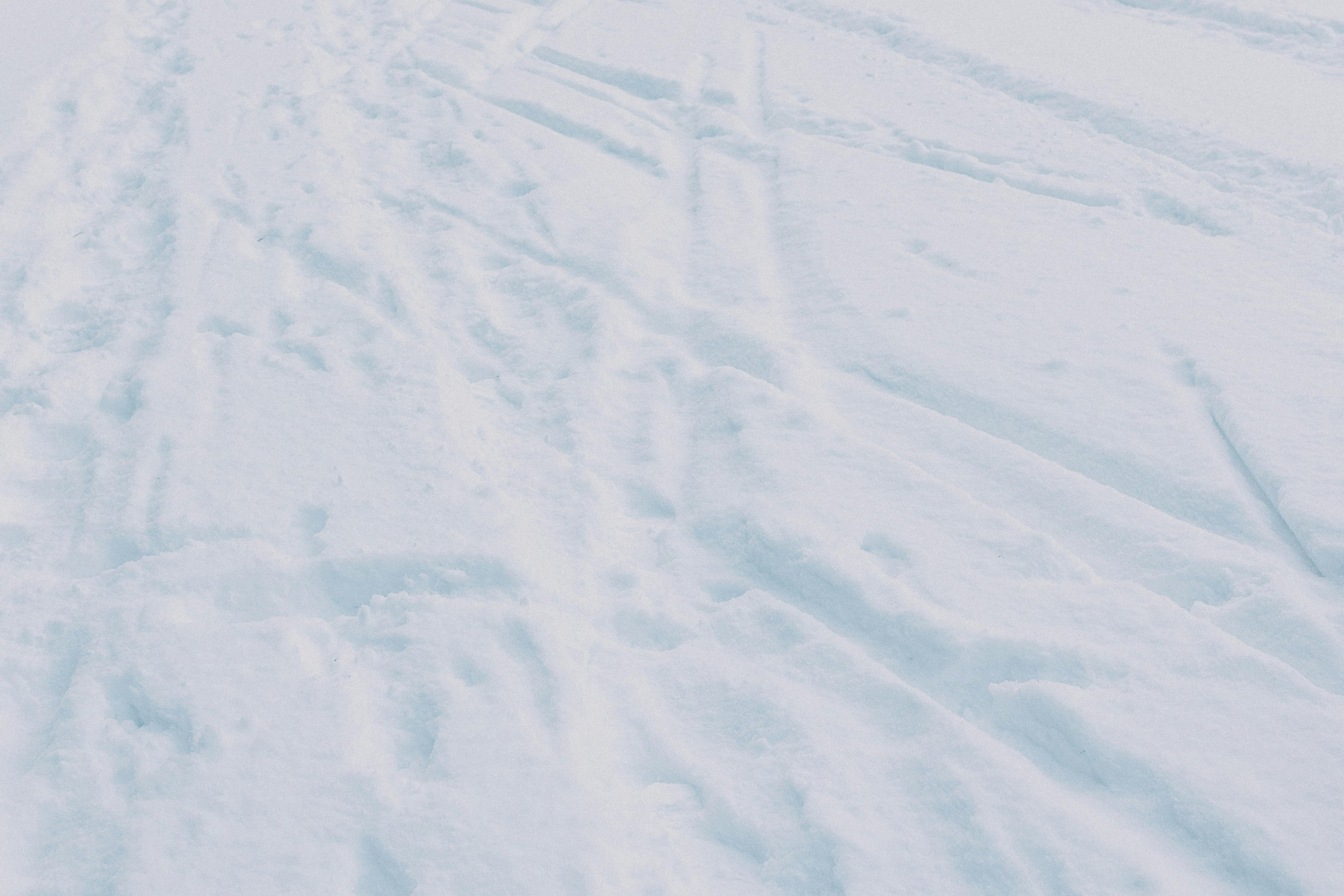Fresh snow covers the ground, revealing patterns and textures in a serene winter landscape.