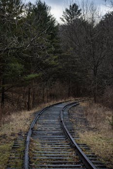 Abandoned railway tracks winding through a dense forest in Ontario, Canada during late fall.