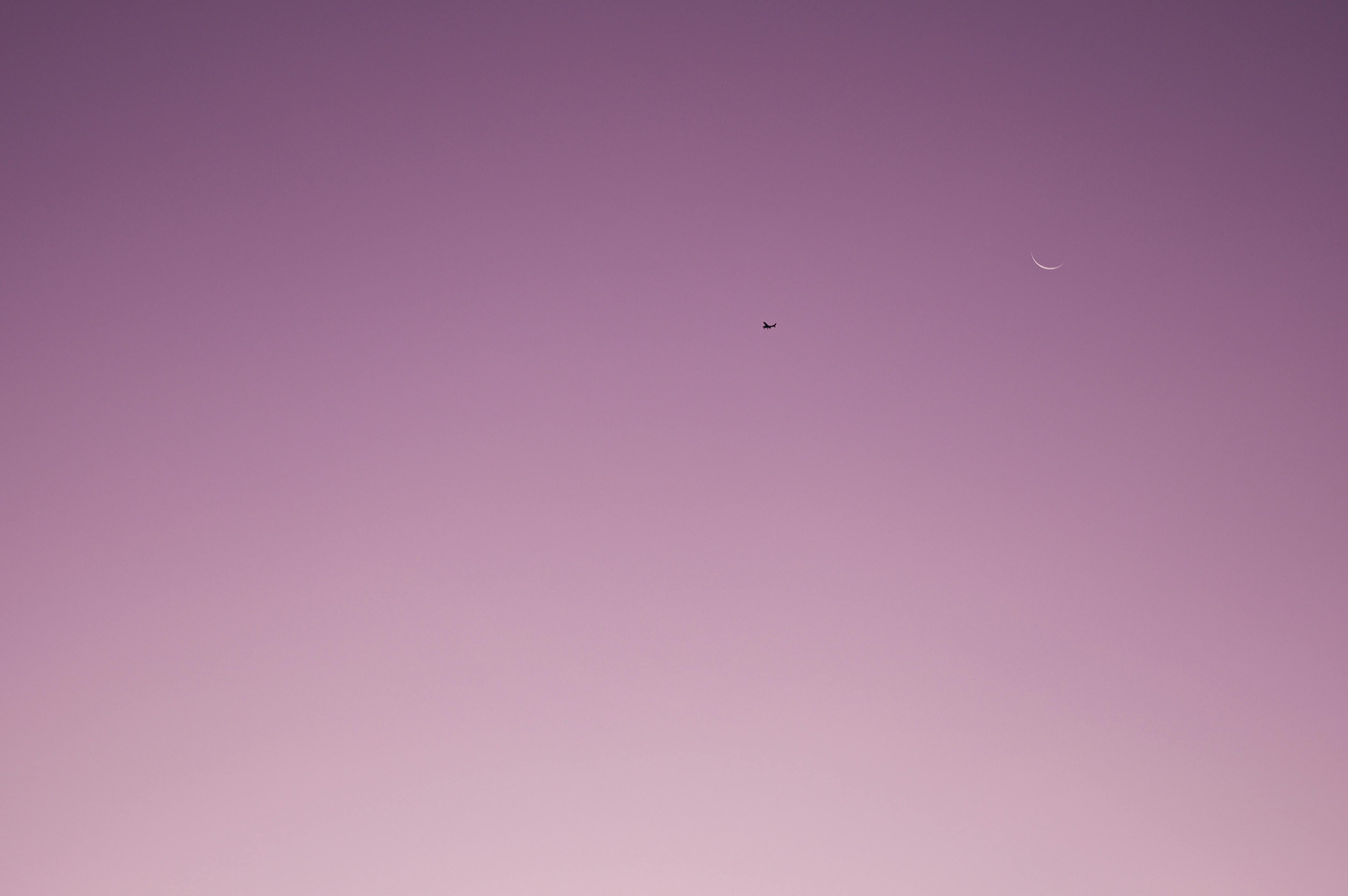 黄昏时分，淡紫色的天空宁静柔和，一架小飞机和一弯新月点缀其中