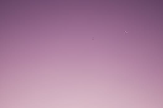 黄昏时分，淡紫色的天空宁静柔和，一架小飞机和一弯新月点缀其中