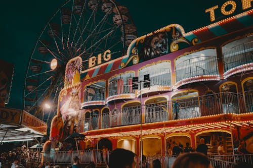 Free Amusement Park at Night Stock Photo