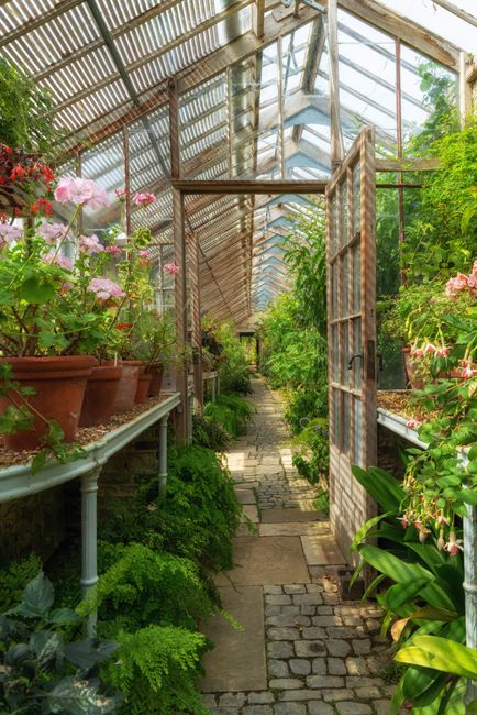Explore a tranquil greenhouse filled with vibrant plants and natural light.