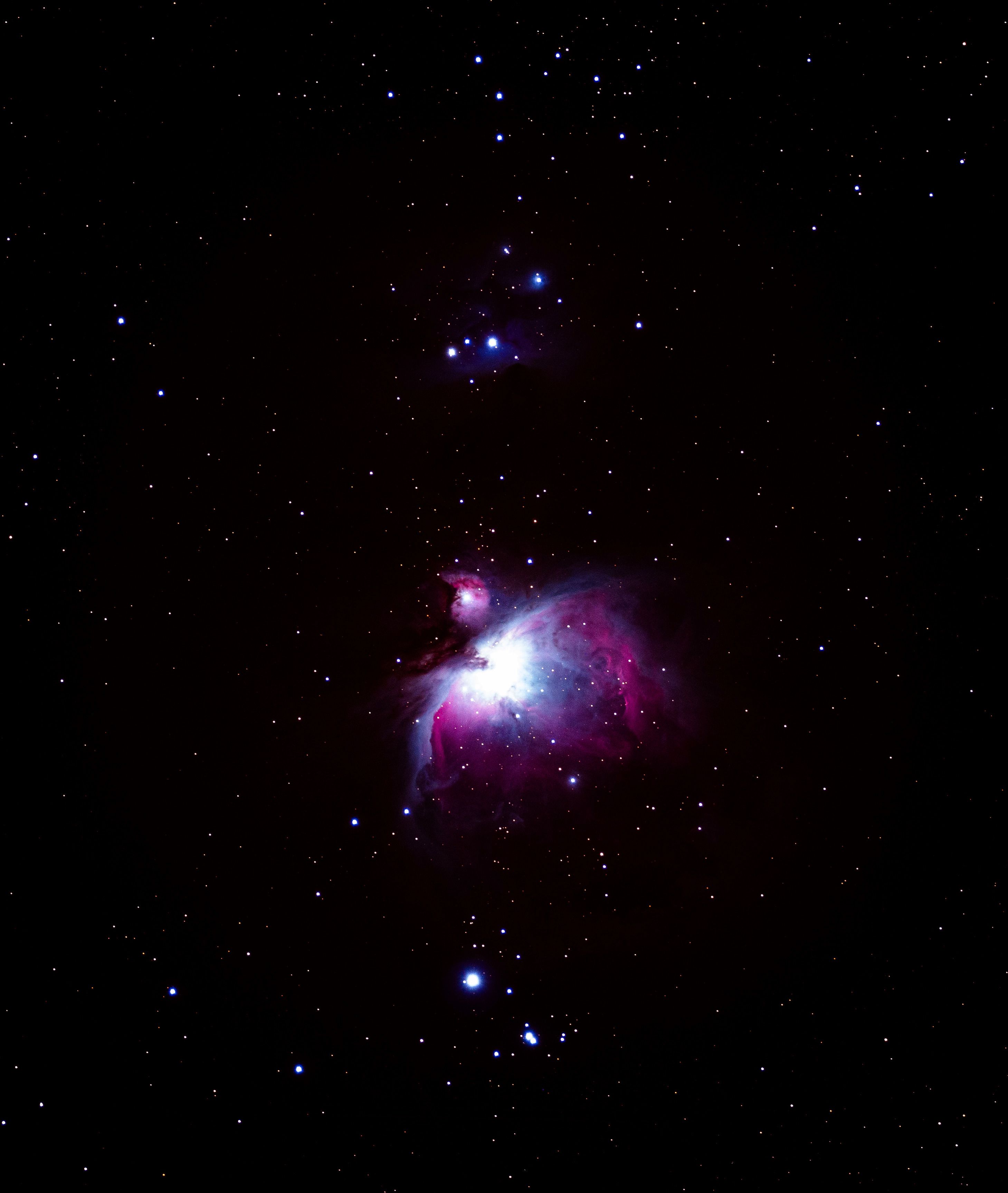 Stunning capture of the Orion Nebula showcasing its vibrant colors and cosmic beauty.