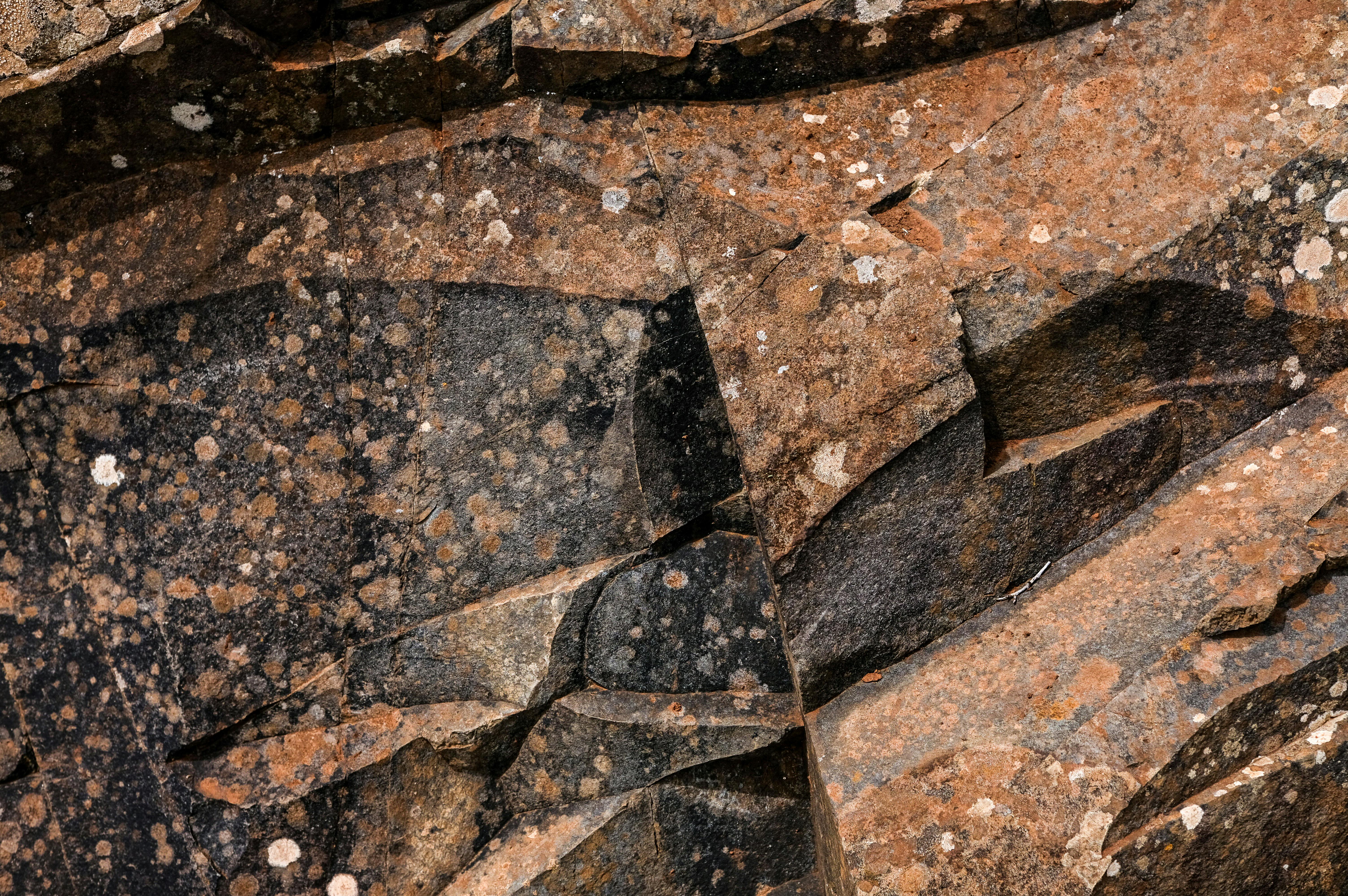 Close-up of volcanic rock texture with unique patterns in Canary Islands, Spain.