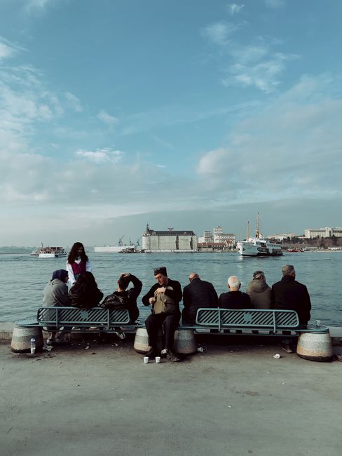 Group of adults seated by the waterfront, enjoying a serene port city view under a clear sky.