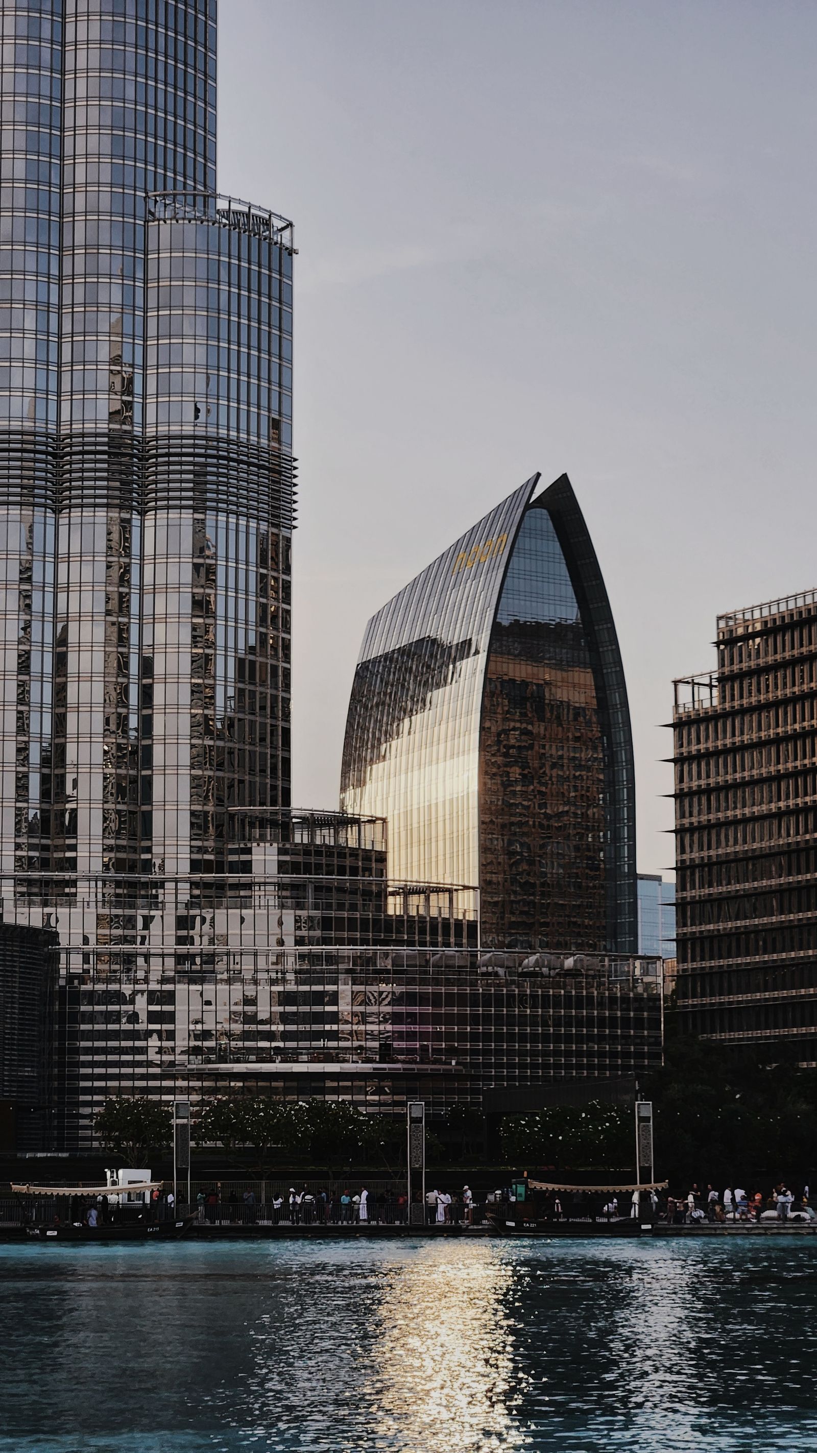 الإمارات العربية المتحدة financial intelligence surface