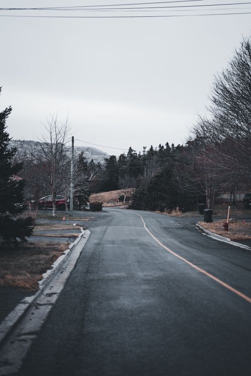 Free A peaceful suburban road with bare trees, leading into a forest, captured in early winter. Stock Photo