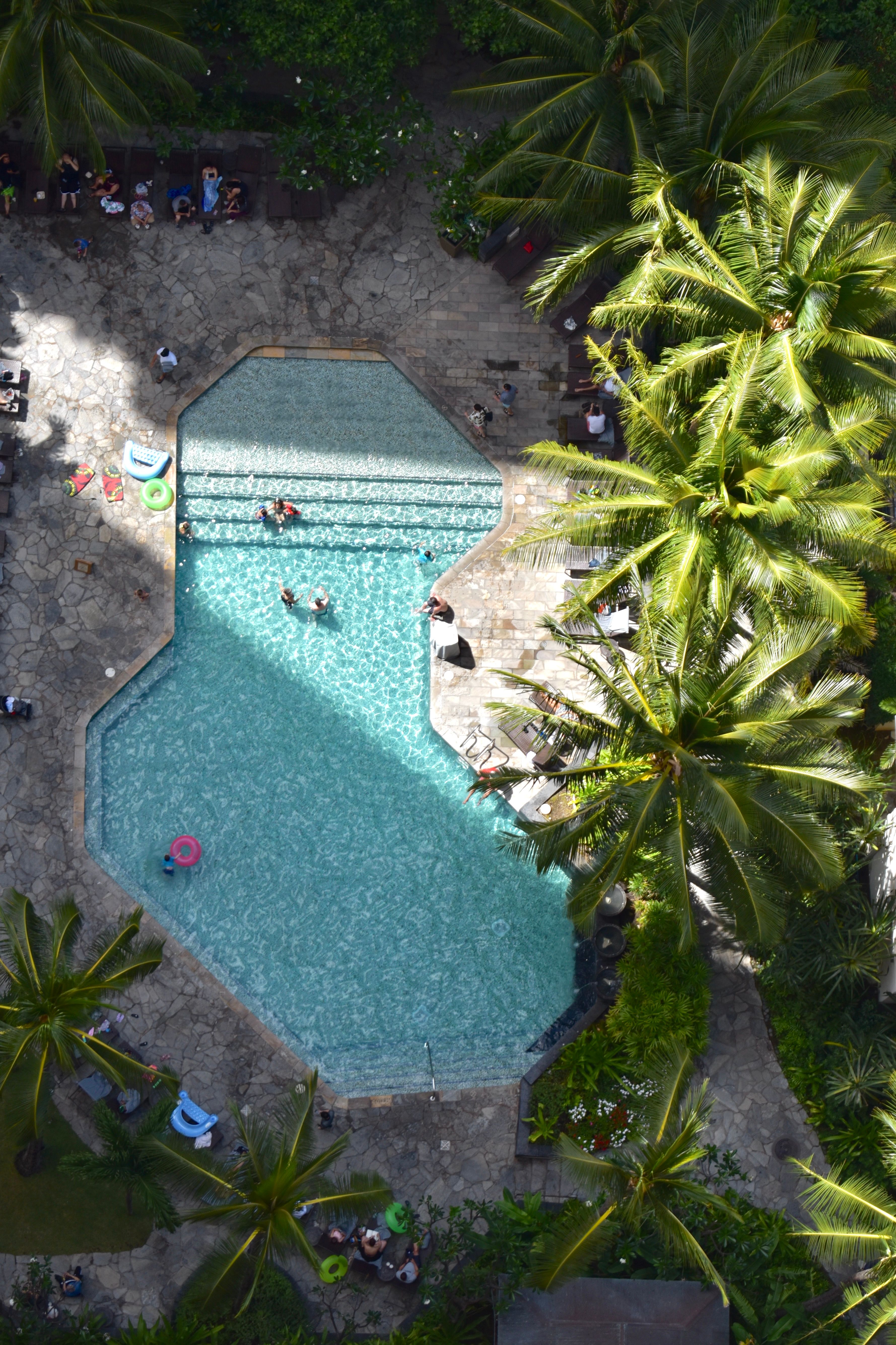Aerial View of Tropical Resort Pool Surrounded by Palm Trees · Free ...