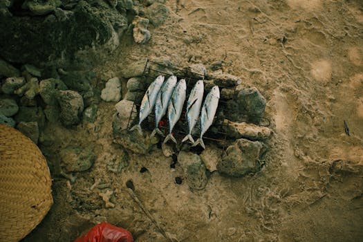 Five fish grilling on a rustic sand barbecue, surrounded by rocks and natural beach elements.