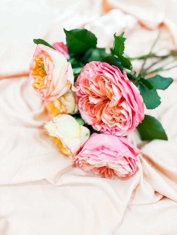 Elegant Roses Elegant Bouquet of Pink Garden Roses on Fabric · Free Stock Photo