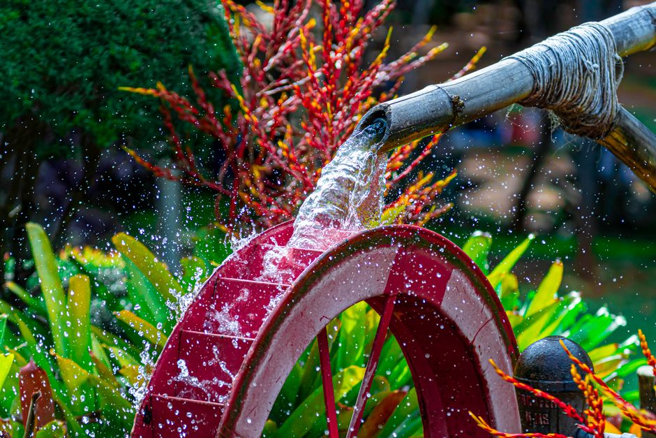 What to Consider When Choosing a Smart Water Conservation System for Your Plants
