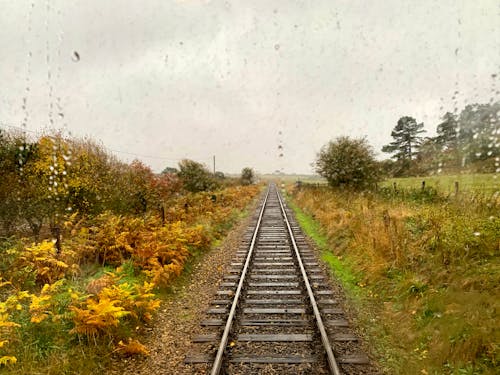 Základová fotografie zdarma na téma déšť, izolovaný, koleje