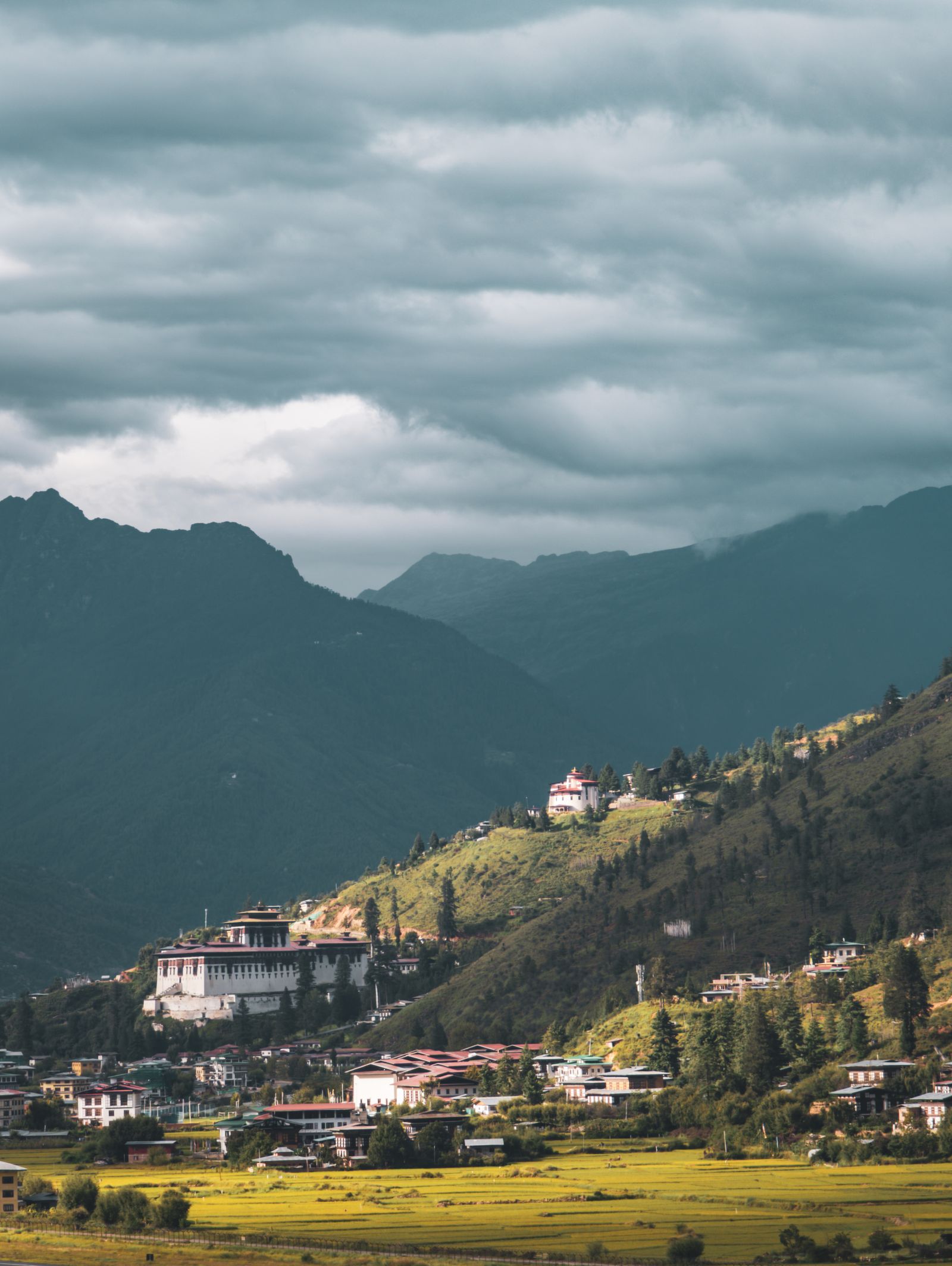 Rinpung Dzong and the Ta Dzong watchtower on the hillside above Paro, ripe paddy in front and storm cloud behind