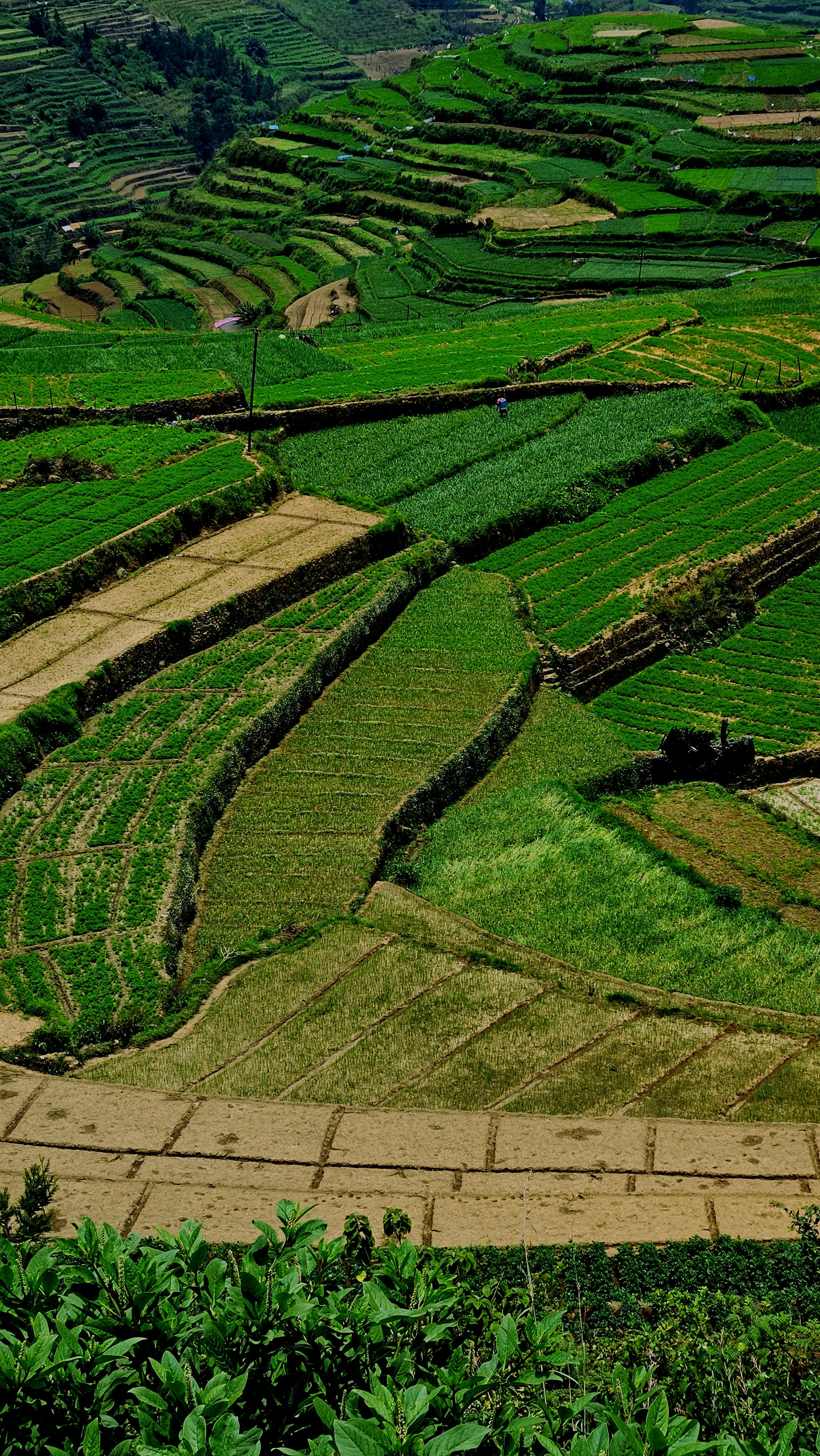 Exploring the Enchanting Hill Stations of India: A Guide for Travelers