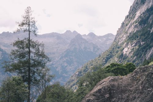 Free Serene landscape of rocky mountains and lush trees under a bright sky. Ideal for nature scenes. Stock Photo