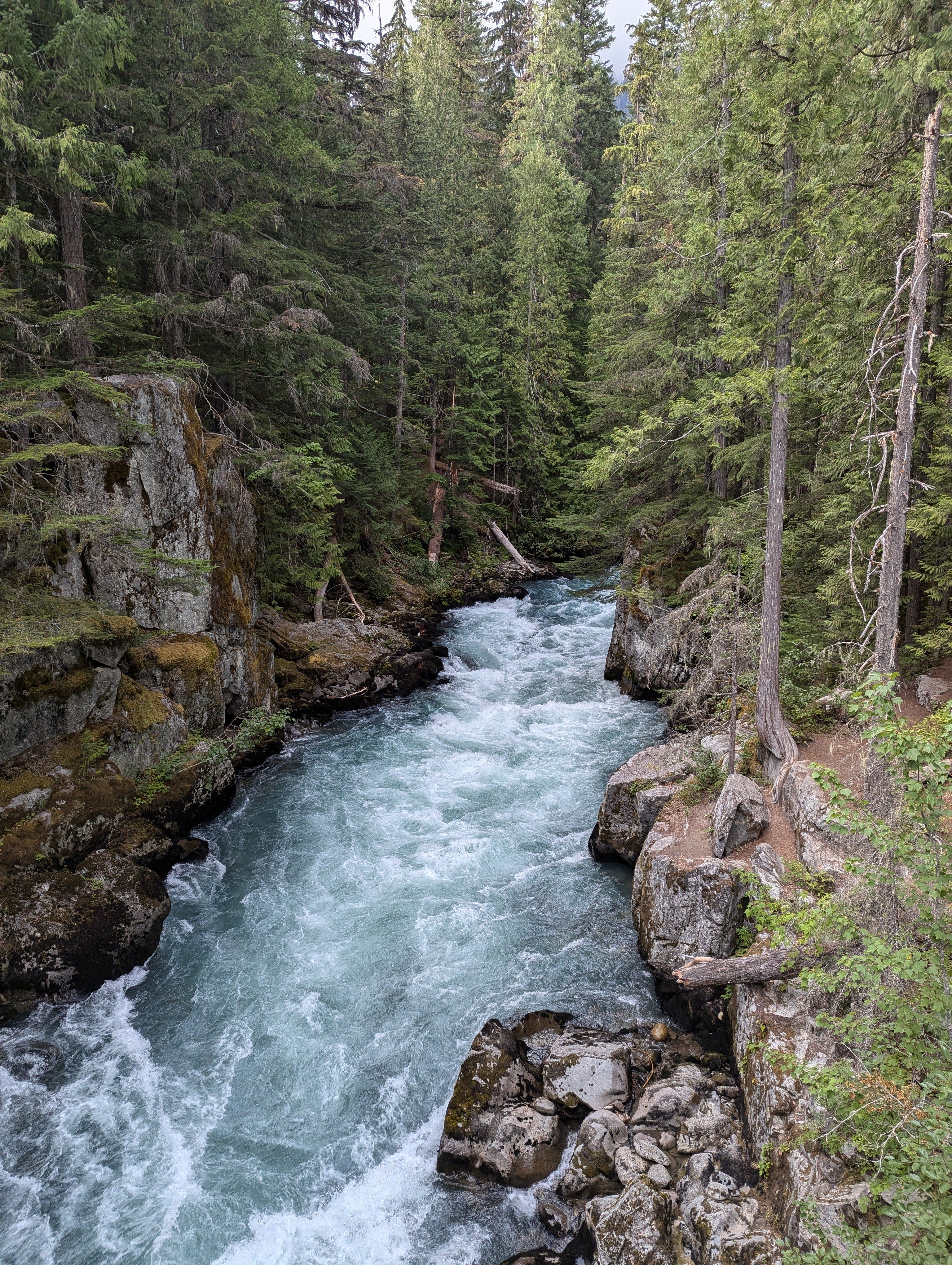 Serene Mountain River Flowing Through Forest · Free Stock Photo