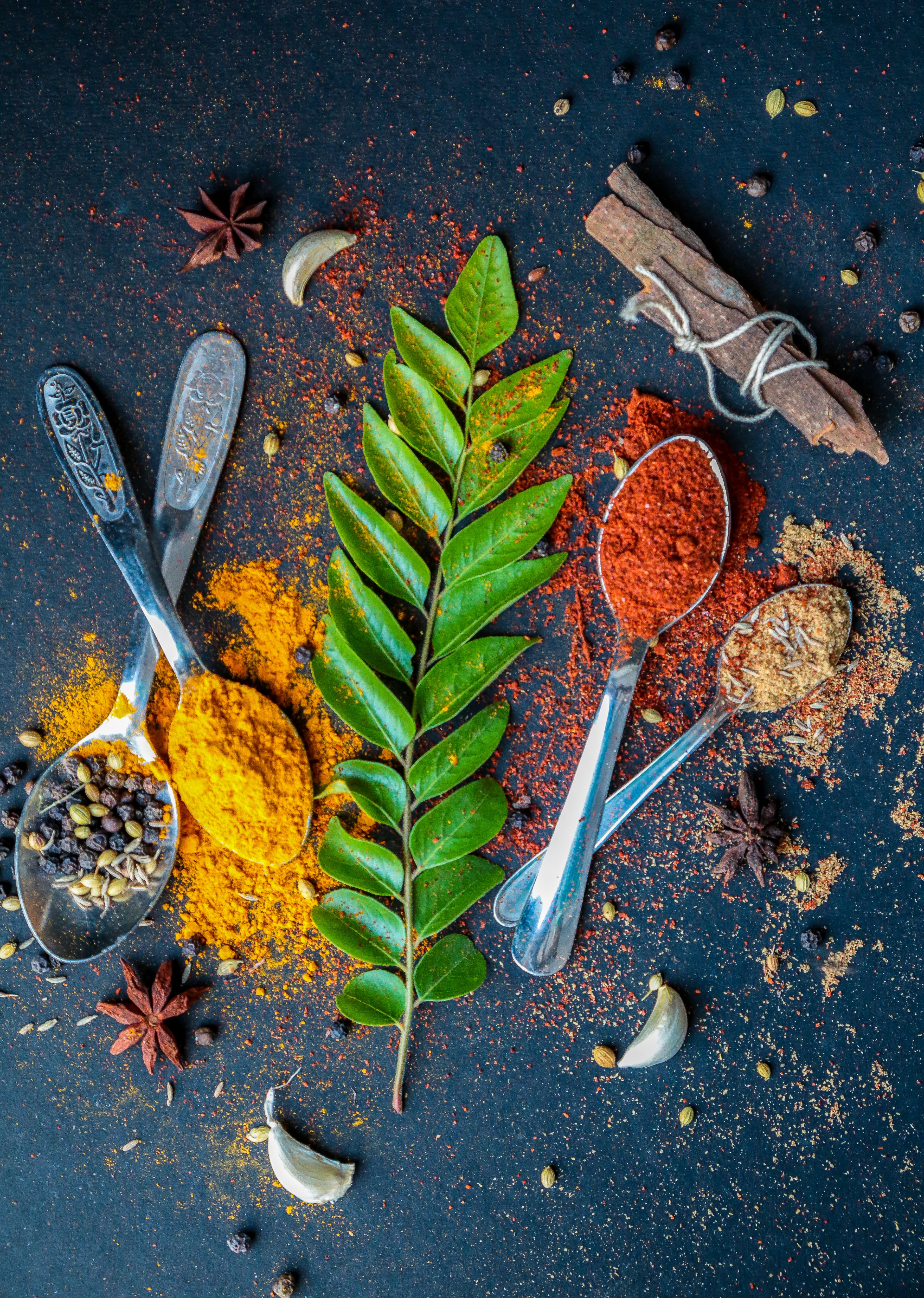 Naturopathy Elements