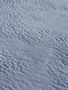A close-up view of a textured snowy surface under bright daylight.