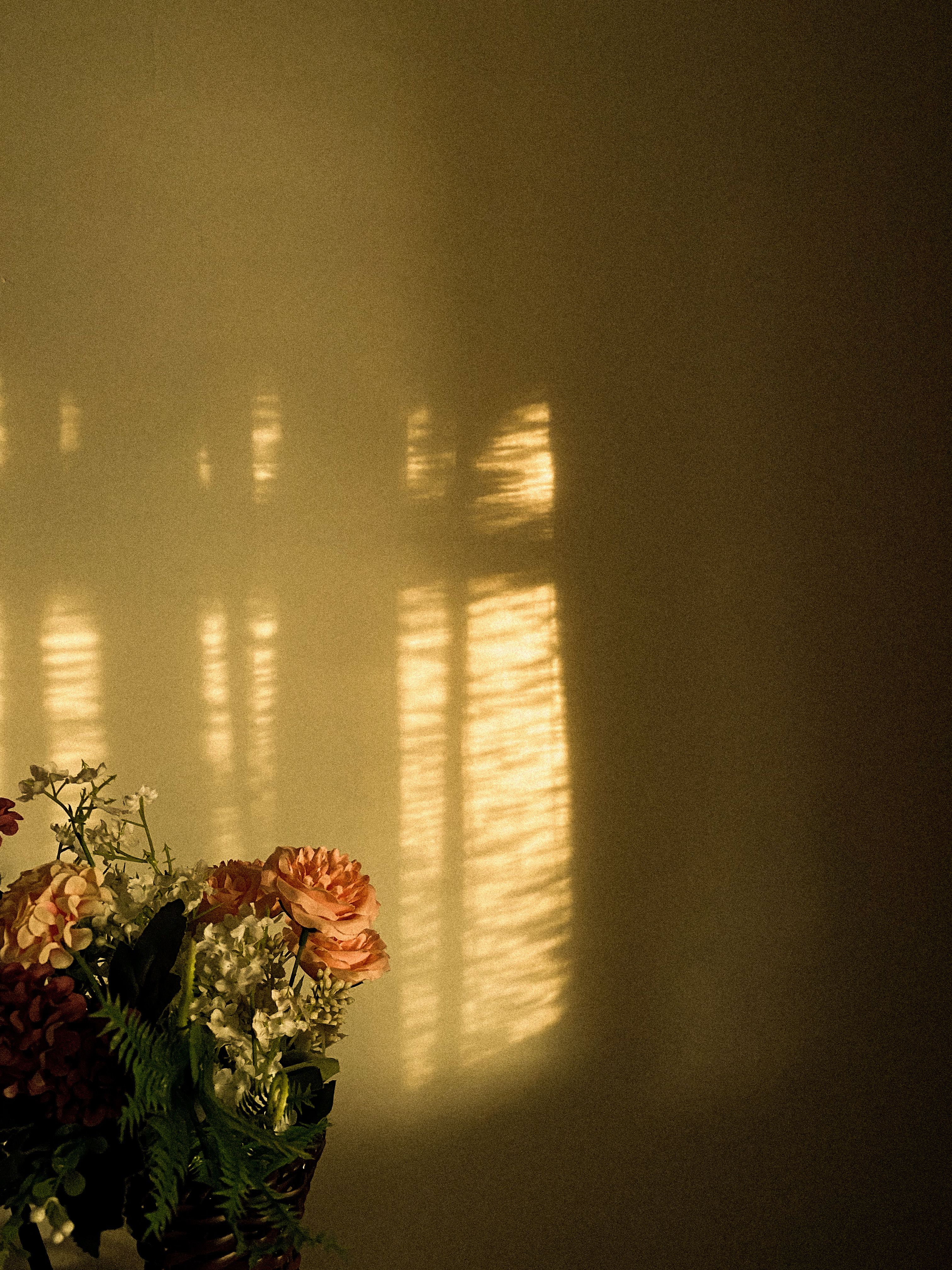 Calming Flowers Photos Download The Best Free Calming Flowers Stock