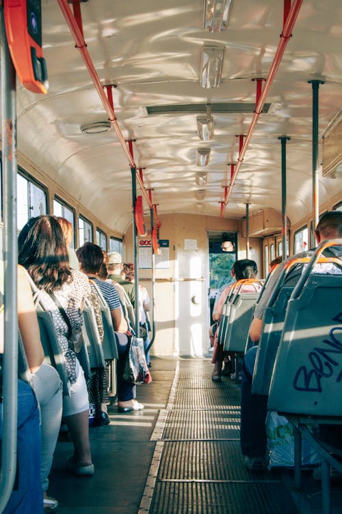 Bus. Photos, Download The BEST Free Bus. Stock Photos & HD Images