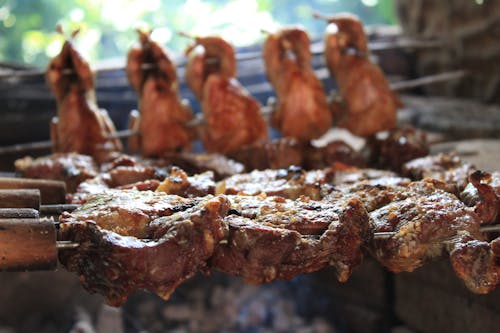 Free stock photo of bolivia, carnes, codorniz