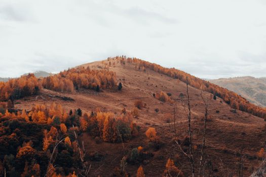 Scenic autumn view of rolling hills in Alba County, Romania, with vibrant foliage.