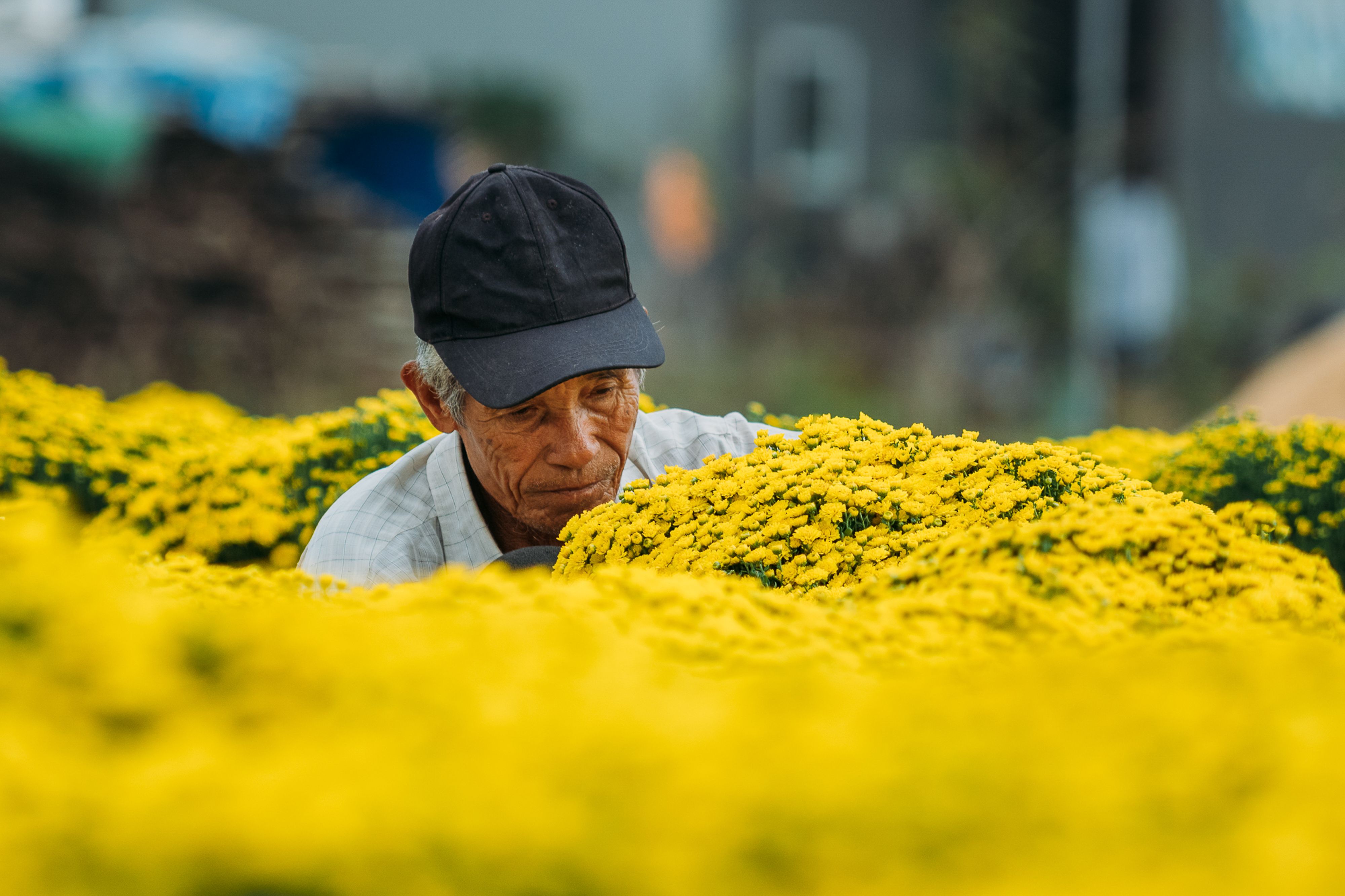 L'humidité secrète qui fait exploser vos plantes