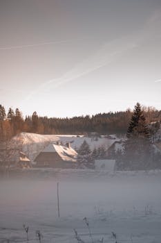 Serene winter scene of a cottage in a snowy forest setting at dawn or dusk.