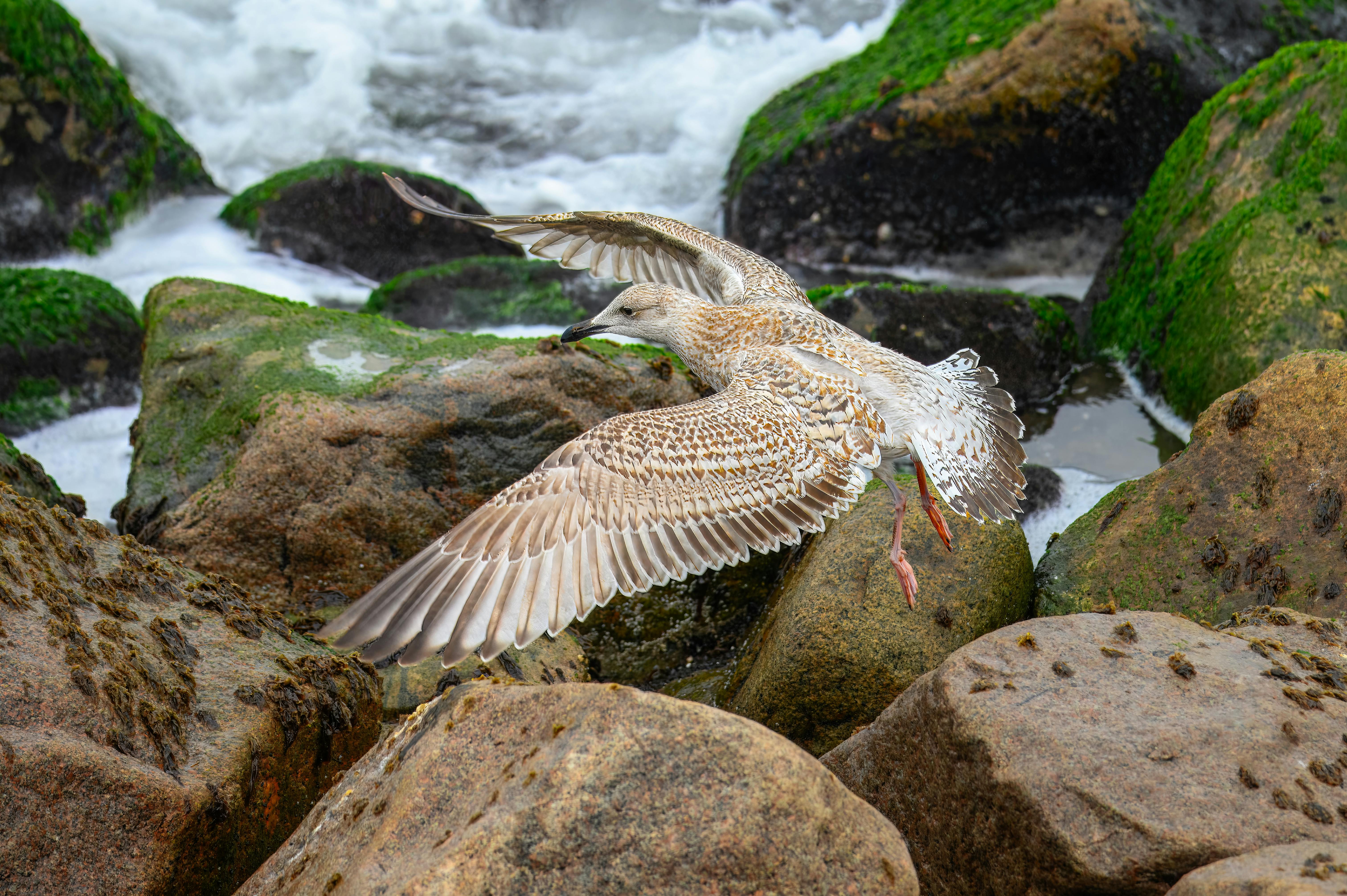 Stein Sol Stein On Writing