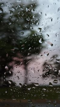 Close-up of raindrops on glass with a green leafy background, creating a serene mood.