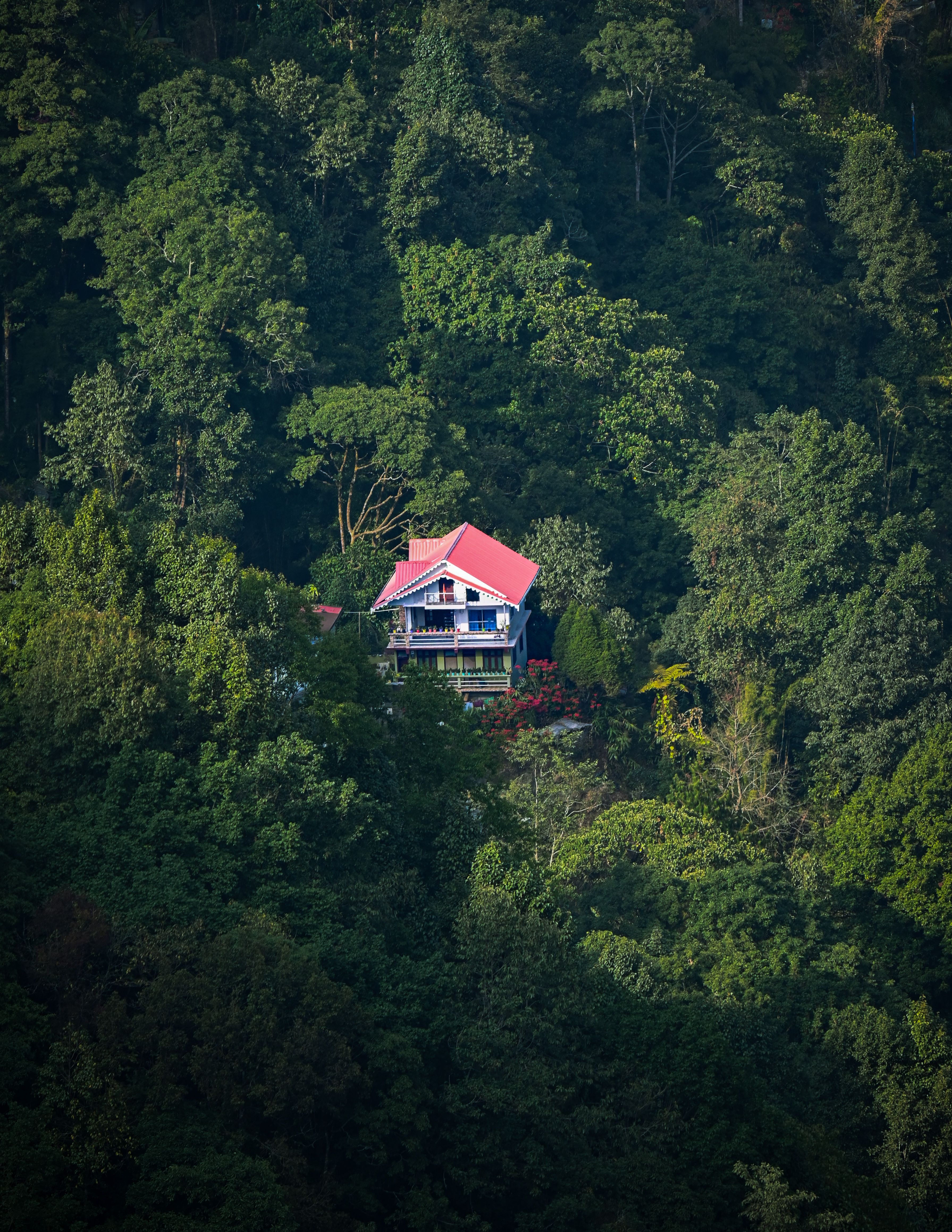 Darjeeling 4 days tour package